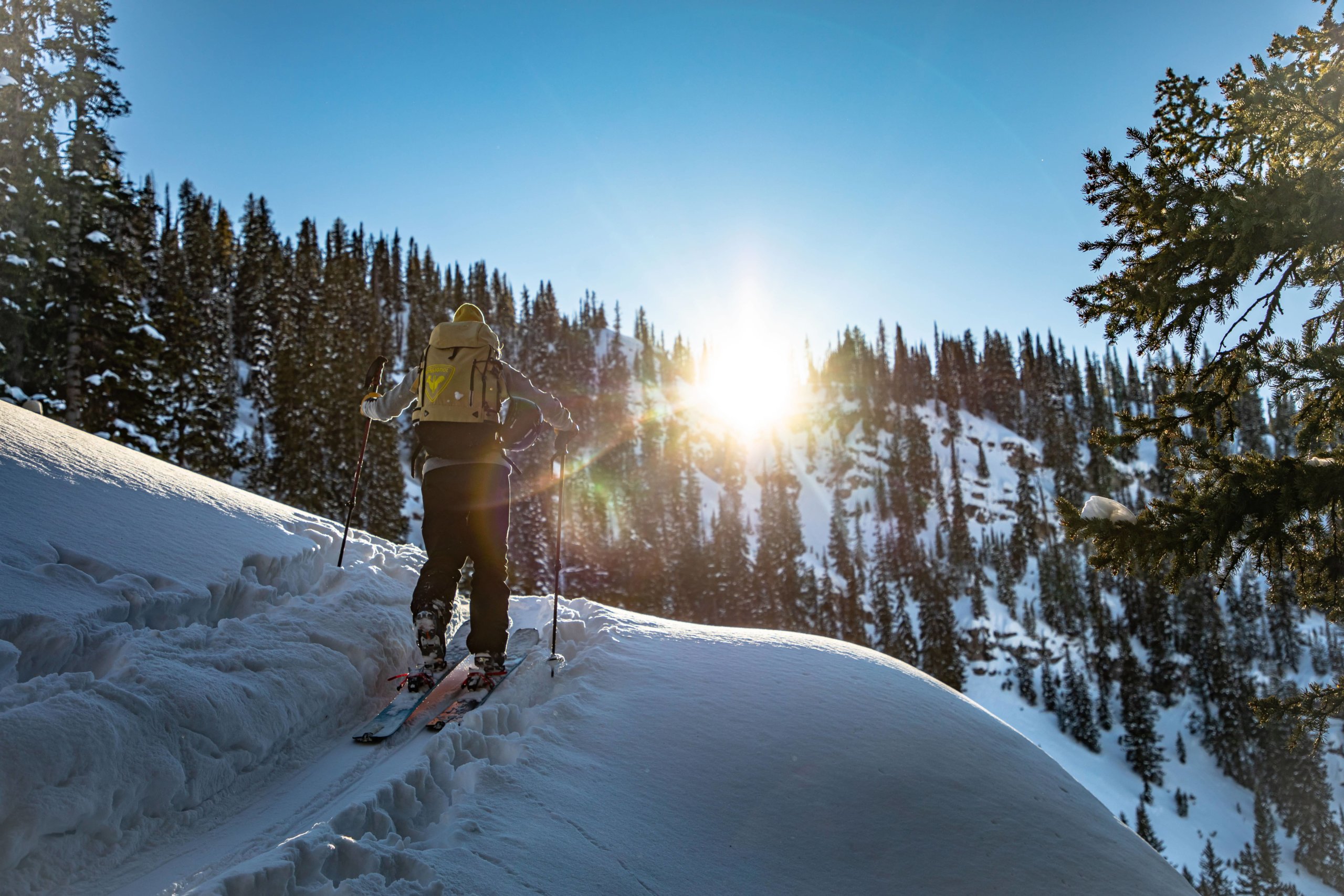 Erin Spong skinning