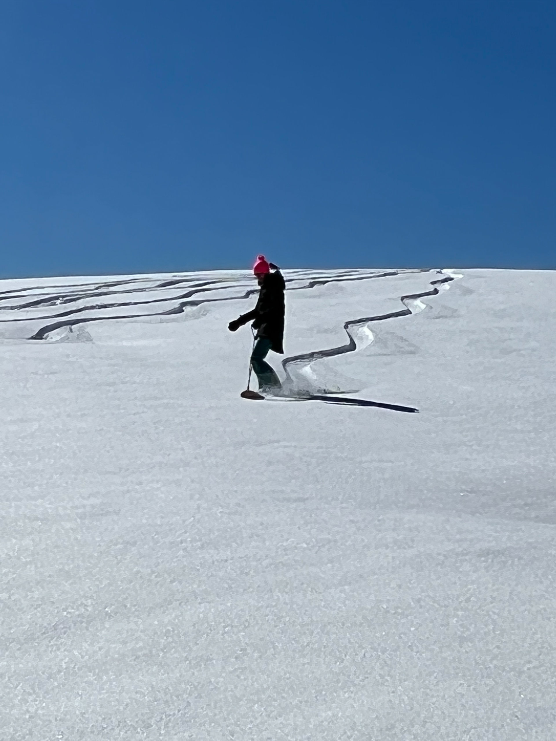 PomPom Skateboards co-founder Sarah Cameron carving on a snowboard.