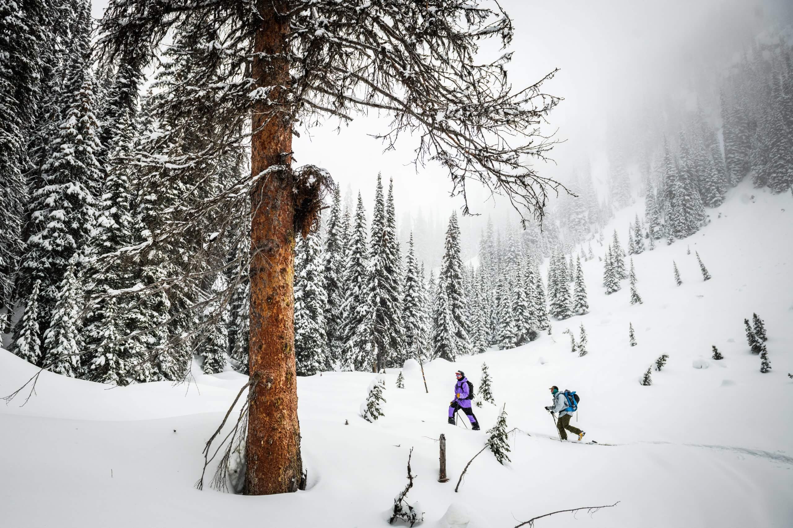 Hank Stowers and Ryan Collins touring in the backcountry.